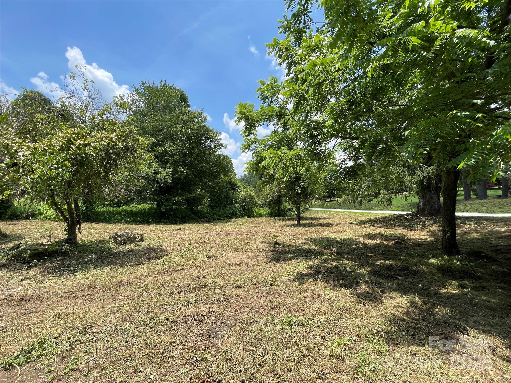 150 Founders Drive, Unit 159 Flat Rock, NC 28731 - Photo 30 of 41 a view of dirt yard