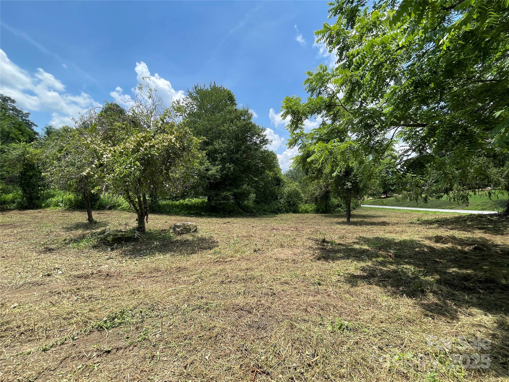 150 Founders Drive, Unit 159 Flat Rock, NC 28731 - Photo 31 of 41 a view of a yard with a tree