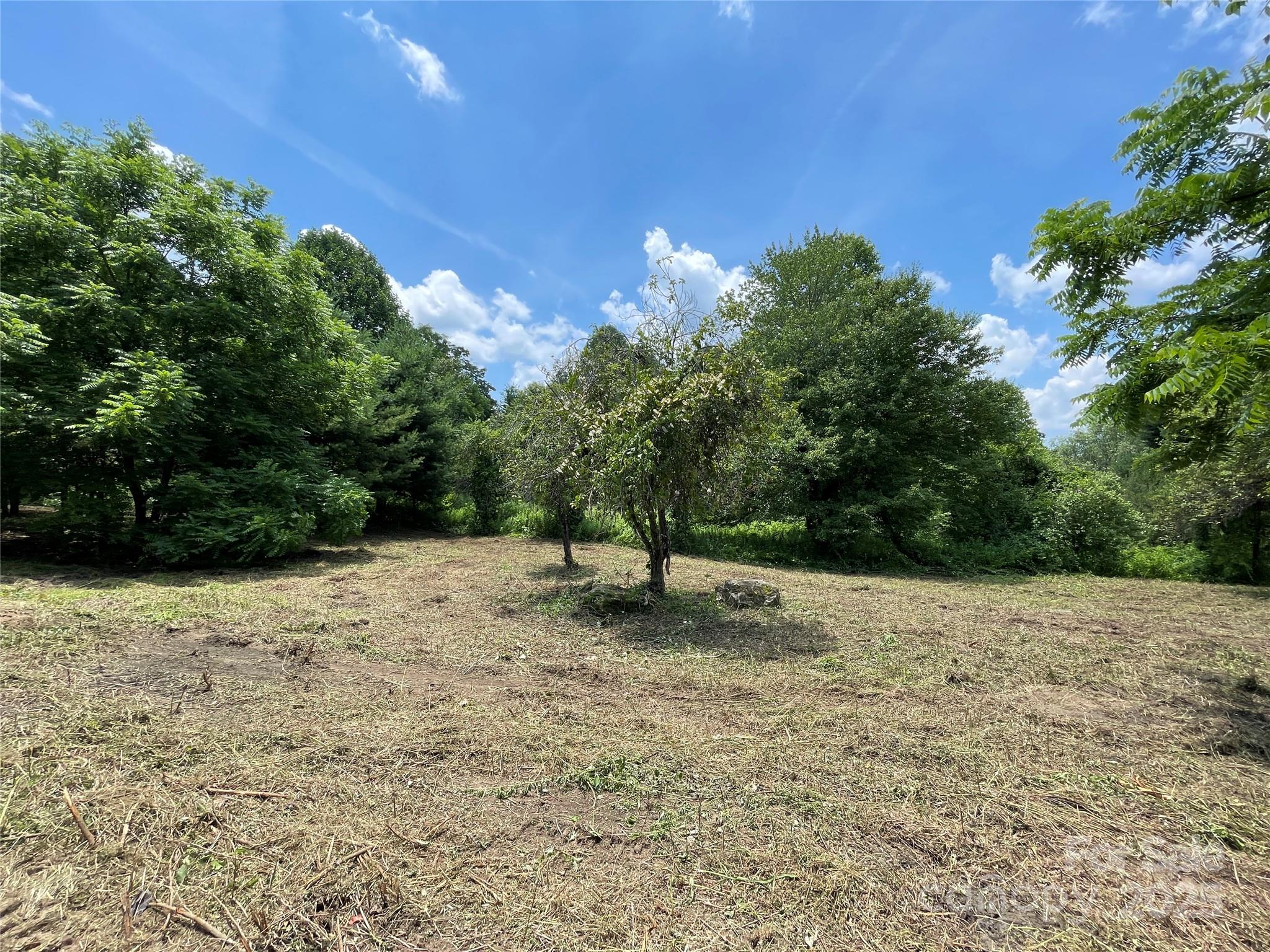 150 Founders Drive, Unit 159 Flat Rock, NC 28731 - Photo 32 of 41 a backyard of a house with lots of green space