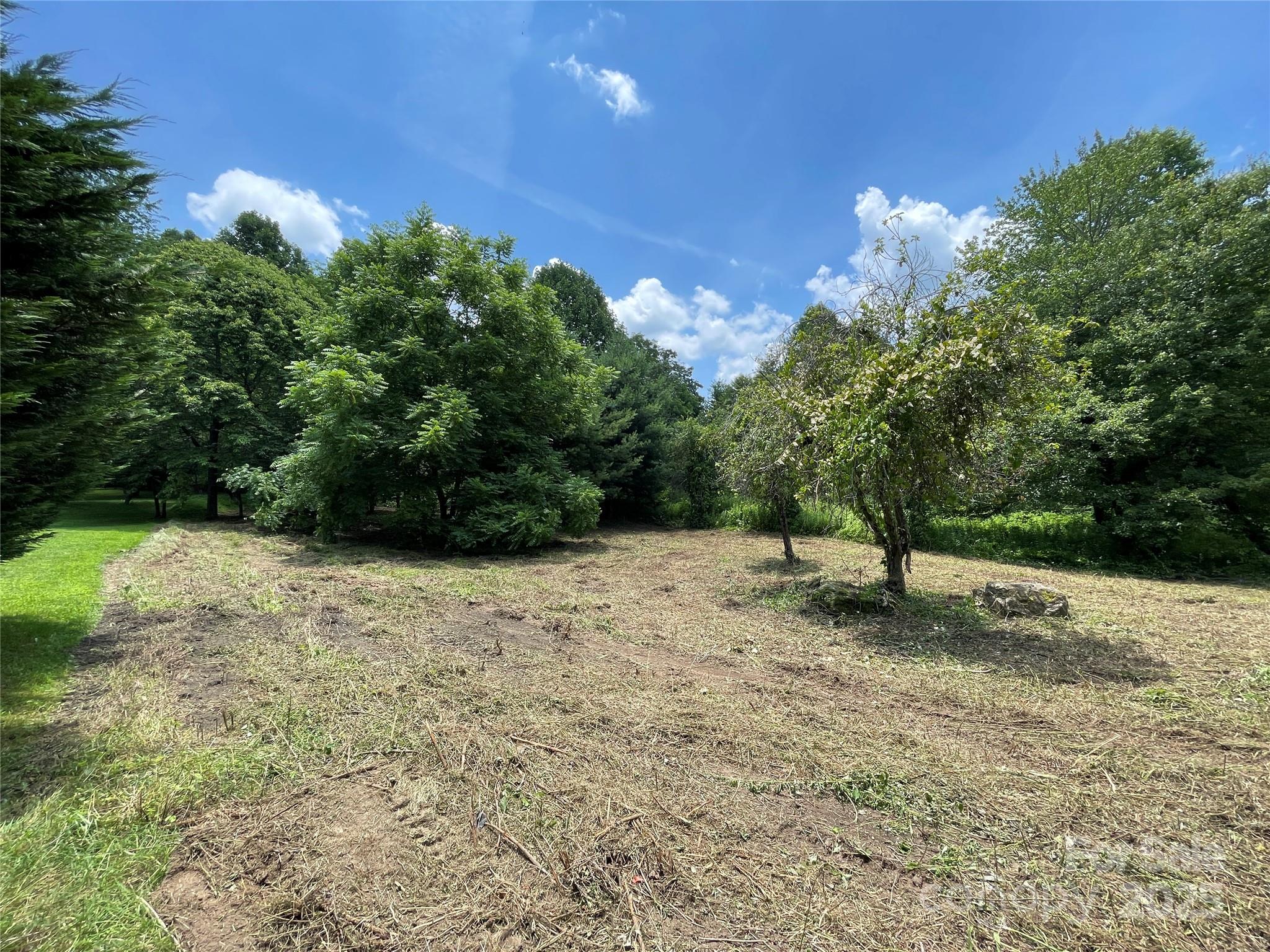 150 Founders Drive, Unit 159 Flat Rock, NC 28731 - Photo 33 of 41 a view of a yard with a tree