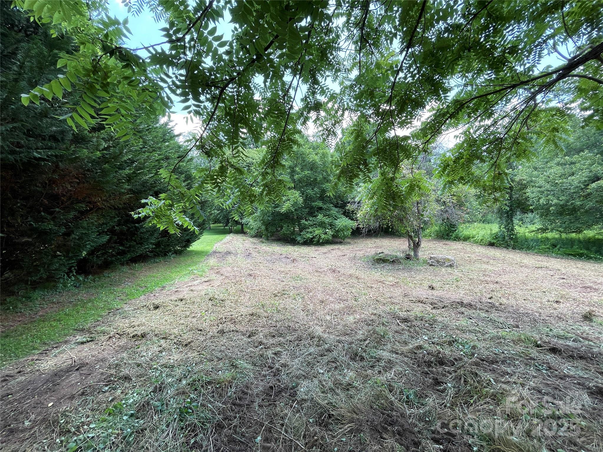 150 Founders Drive, Unit 159 Flat Rock, NC 28731 - Photo 34 of 41 a view of a forest with trees in the background