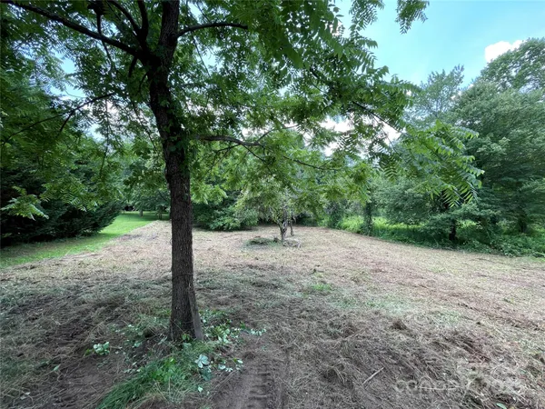 a view of a yard with a tree