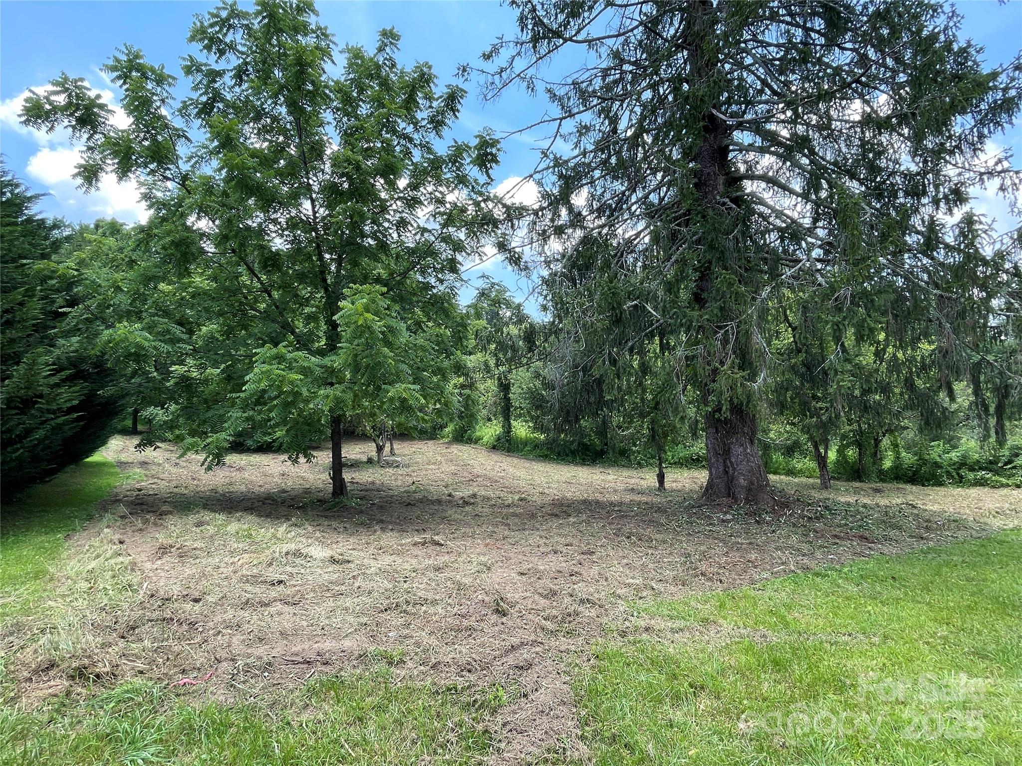 150 Founders Drive, Unit 159 Flat Rock, NC 28731 - Photo 37 of 41 a view of a yard with a tree