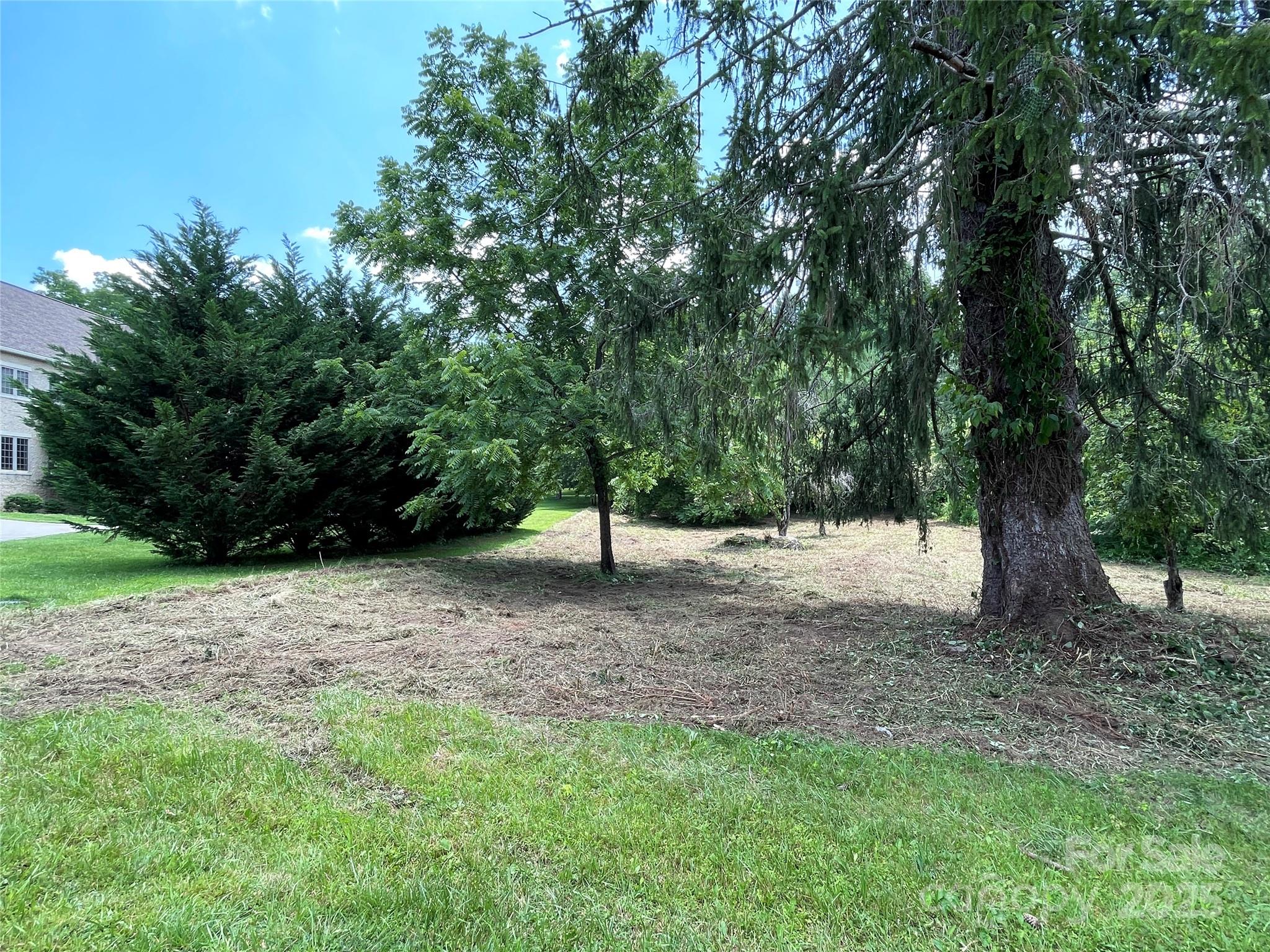 150 Founders Drive, Unit 159 Flat Rock, NC 28731 - Photo 38 of 41 a view of a tree in the middle of a yard