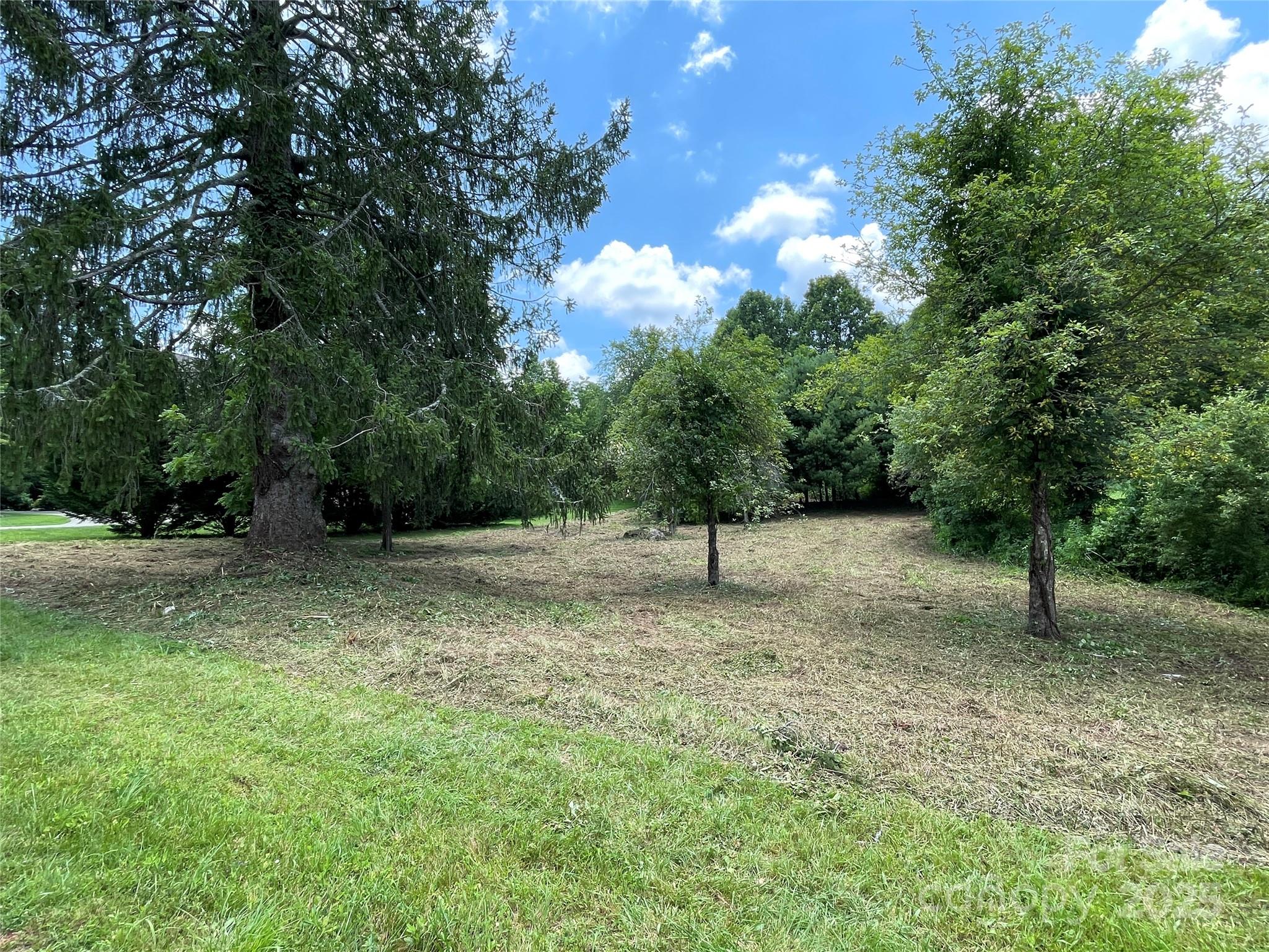 150 Founders Drive, Unit 159 Flat Rock, NC 28731 - Photo 39 of 41 a view of a tree in a yard