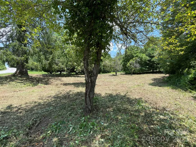 a view of a yard with a tree