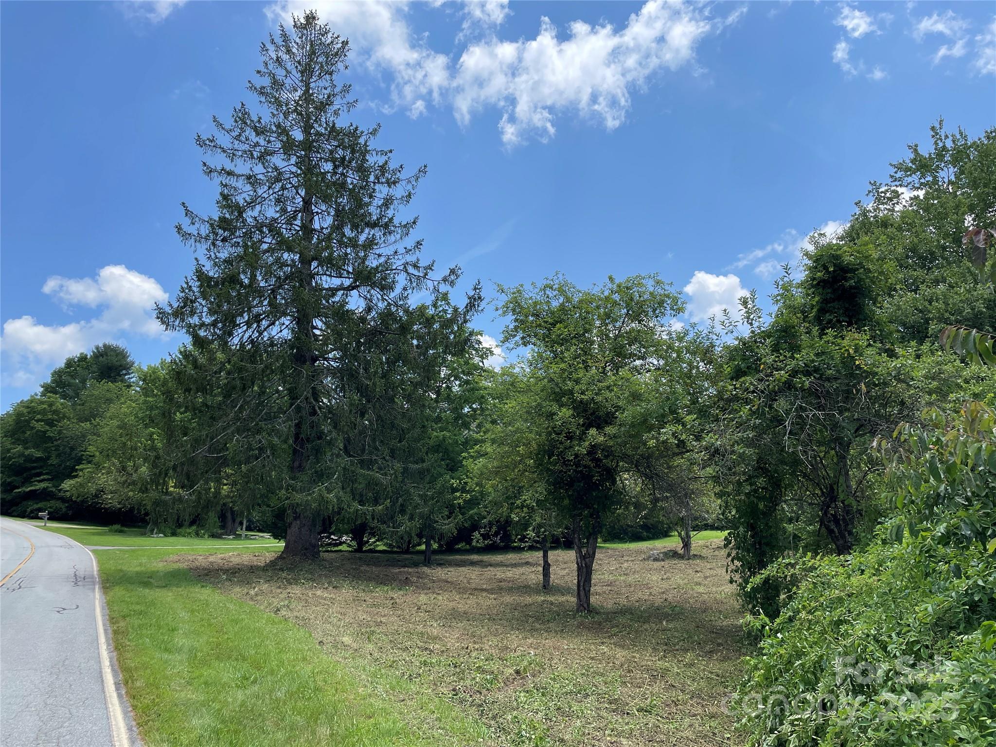 150 Founders Drive, Unit 159 Flat Rock, NC 28731 - Photo 41 of 41 a view of backyard with green space