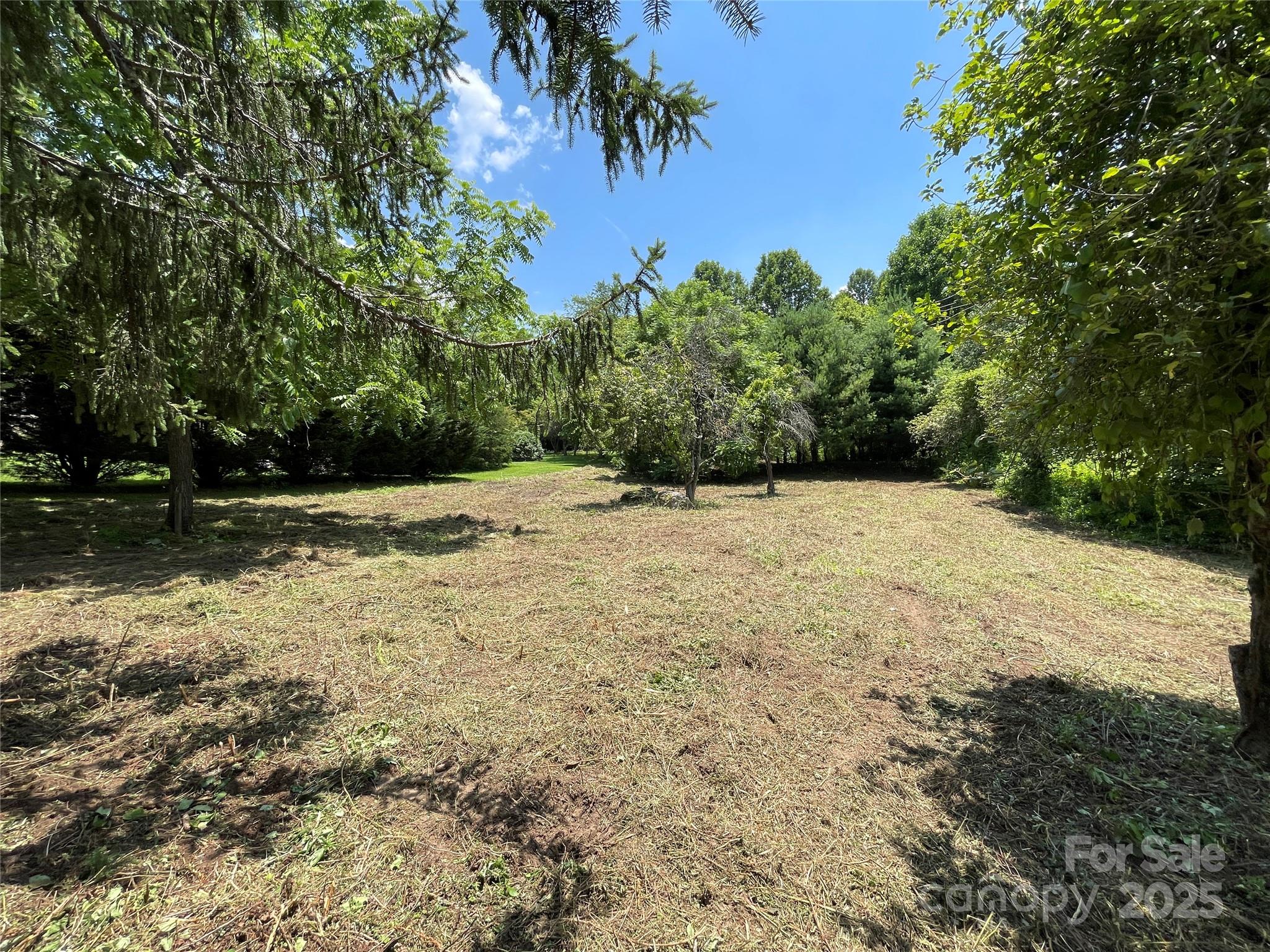 150 Founders Drive, Unit 159 Flat Rock, NC 28731 - Photo 5 of 41 a view of backyard with outdoor space
