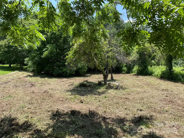 a view of a yard with a tree