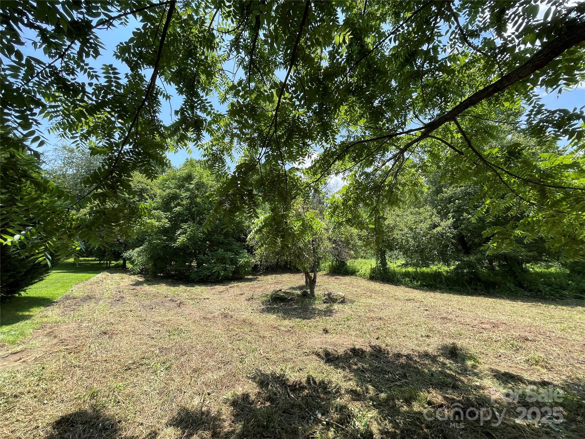 150 Founders Drive, Unit 159 Flat Rock, NC 28731 - Photo 8 of 41 a view of a tree with a tree
