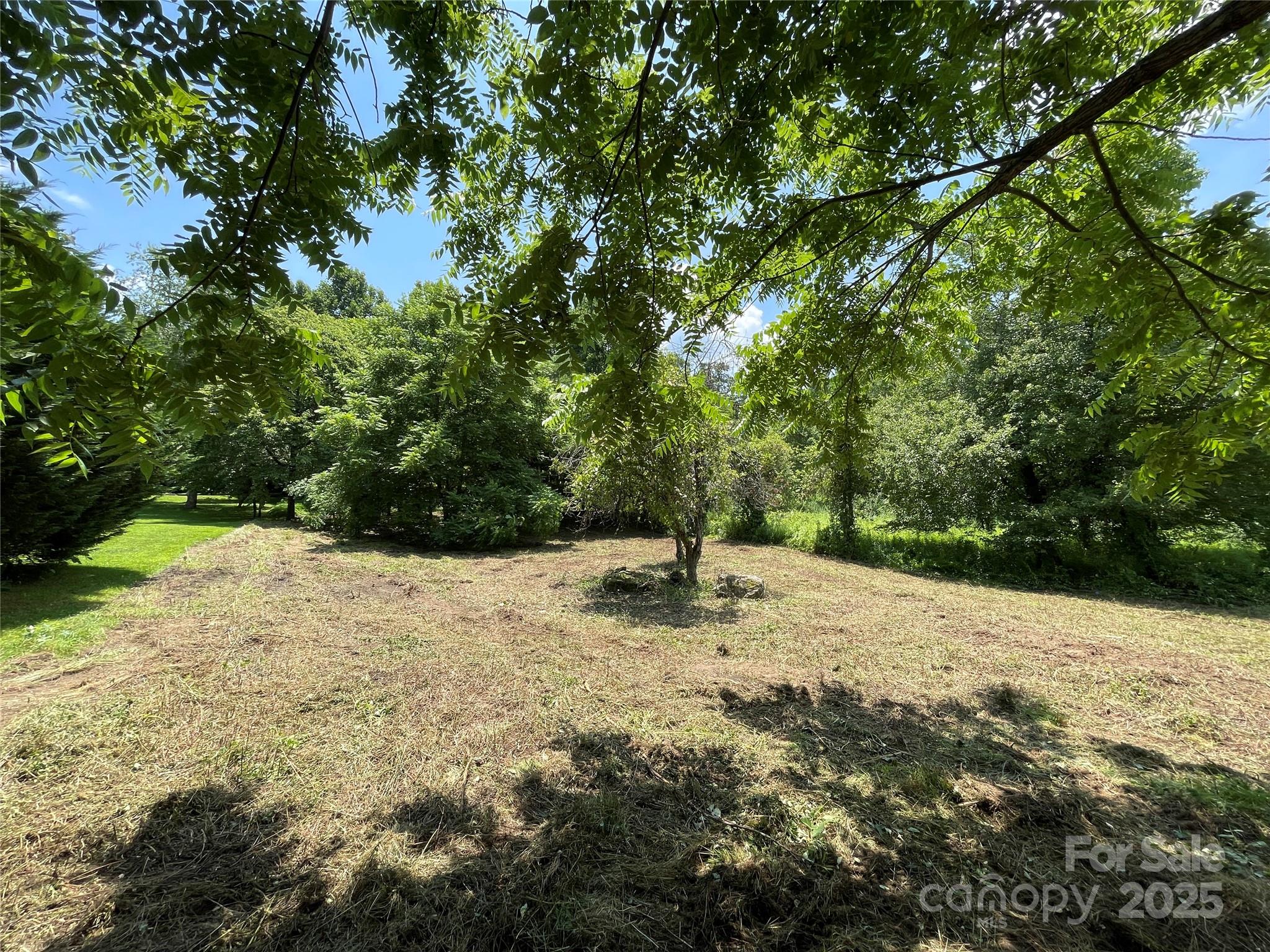 150 Founders Drive, Unit 159 Flat Rock, NC 28731 - Photo 9 of 41 a view of a yard with plants and trees