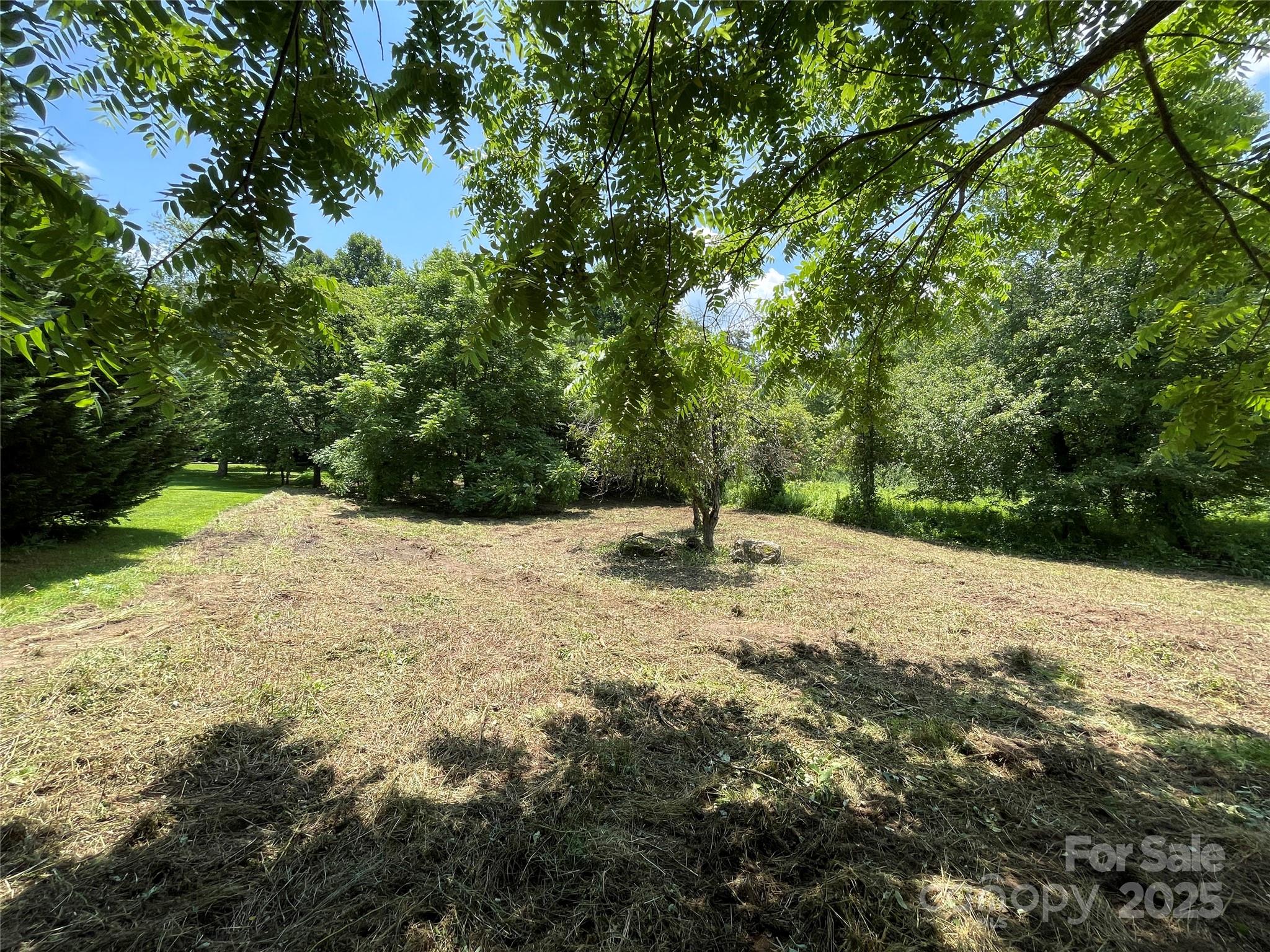 150 Founders Drive, Unit 159 Flat Rock, NC 28731 - Photo 10 of 41 a view of a backyard of a house