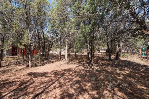 $40,000 | 0 Palomino Drive, Payson, AZ 85541