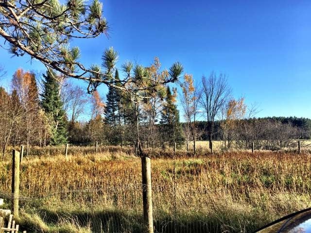 On Gouda Road Tomahawk, WI 54487 - Photo 2 of 16 Gallery Image 2