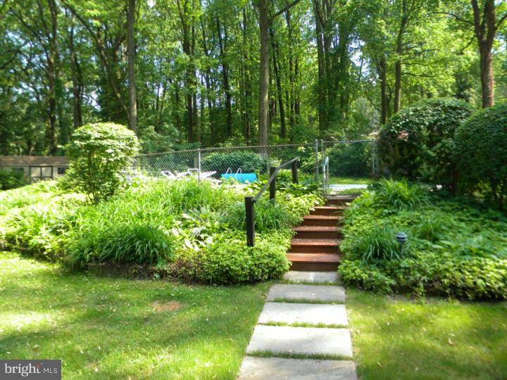 425 Country Club Road Phoenixville, PA 19460 - Photo 20 of 25 Side Yard