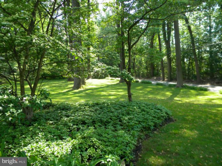 425 Country Club Road Phoenixville, PA 19460 - Photo 24 of 25 View from Front Door