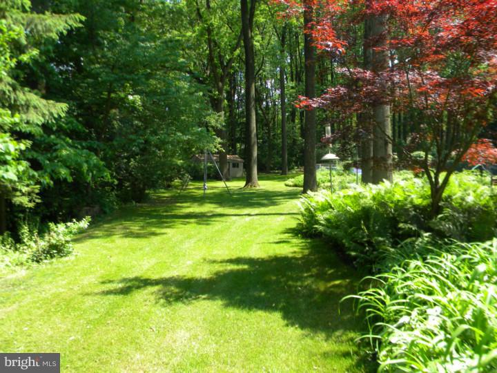 425 Country Club Road Phoenixville, PA 19460 - Photo 25 of 25 View in Back