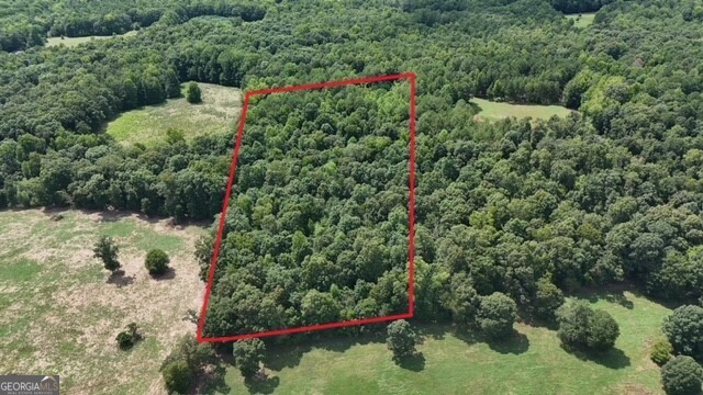 120 Morris Creek Road Colbert, GA 30628 - Photo 1 of 1 a view of a garden with plants