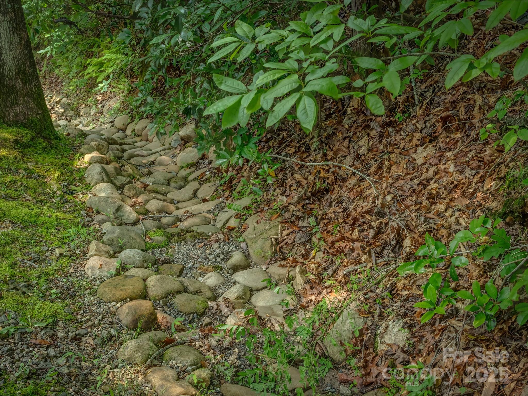 0 Israel Road Brevard, NC 28712 - Photo 17 of 17