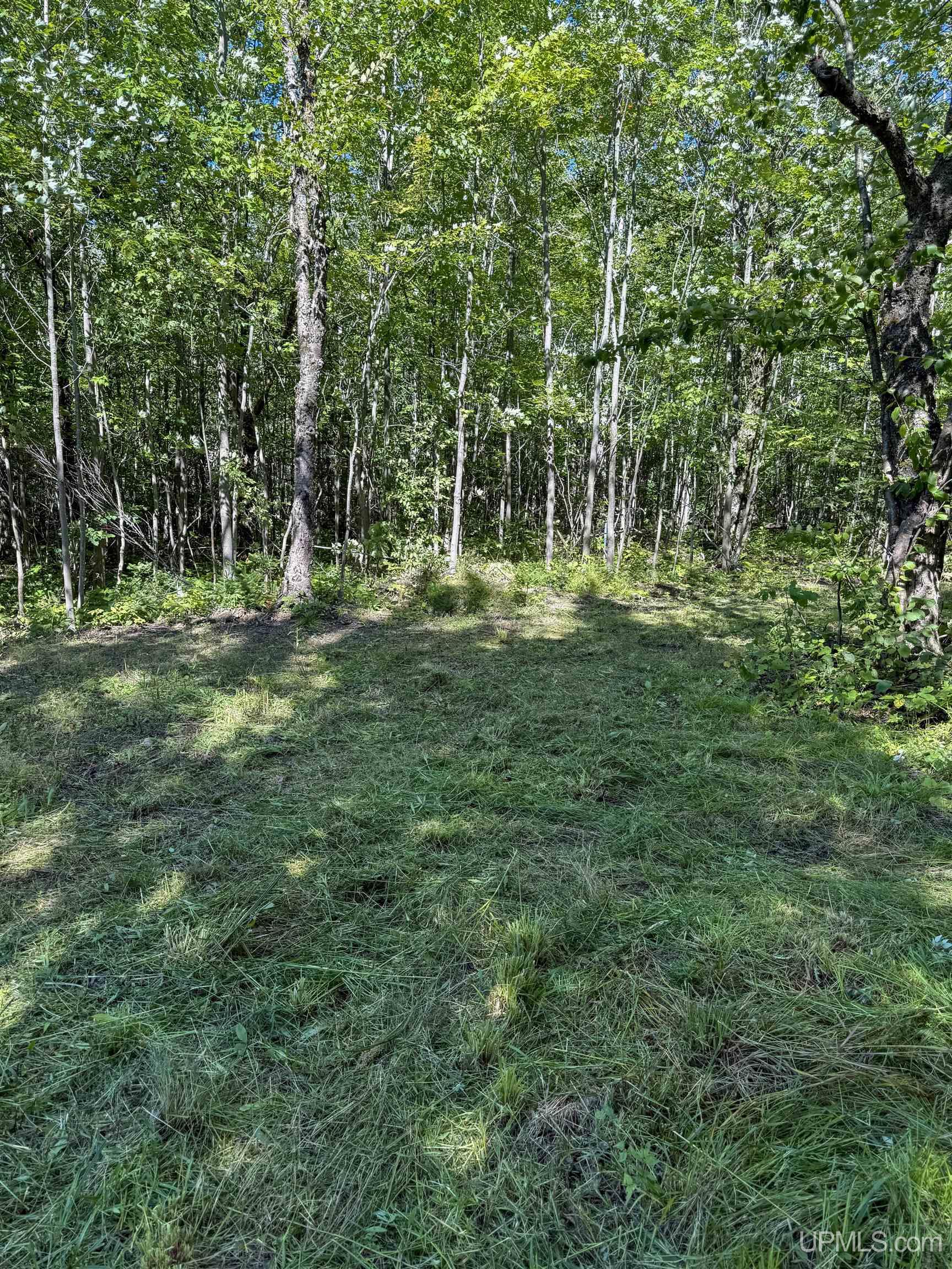 Lot 2 Off Hwy M-64 Road Ontonagon, MI 49953 - Photo 8 of 37