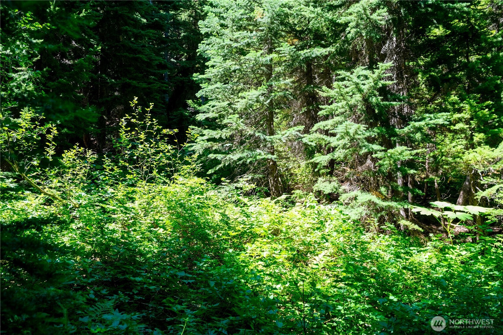 34103 Stevens Road Leavenworth, WA 98826 - Photo 9 of 17 Gallery Image 9