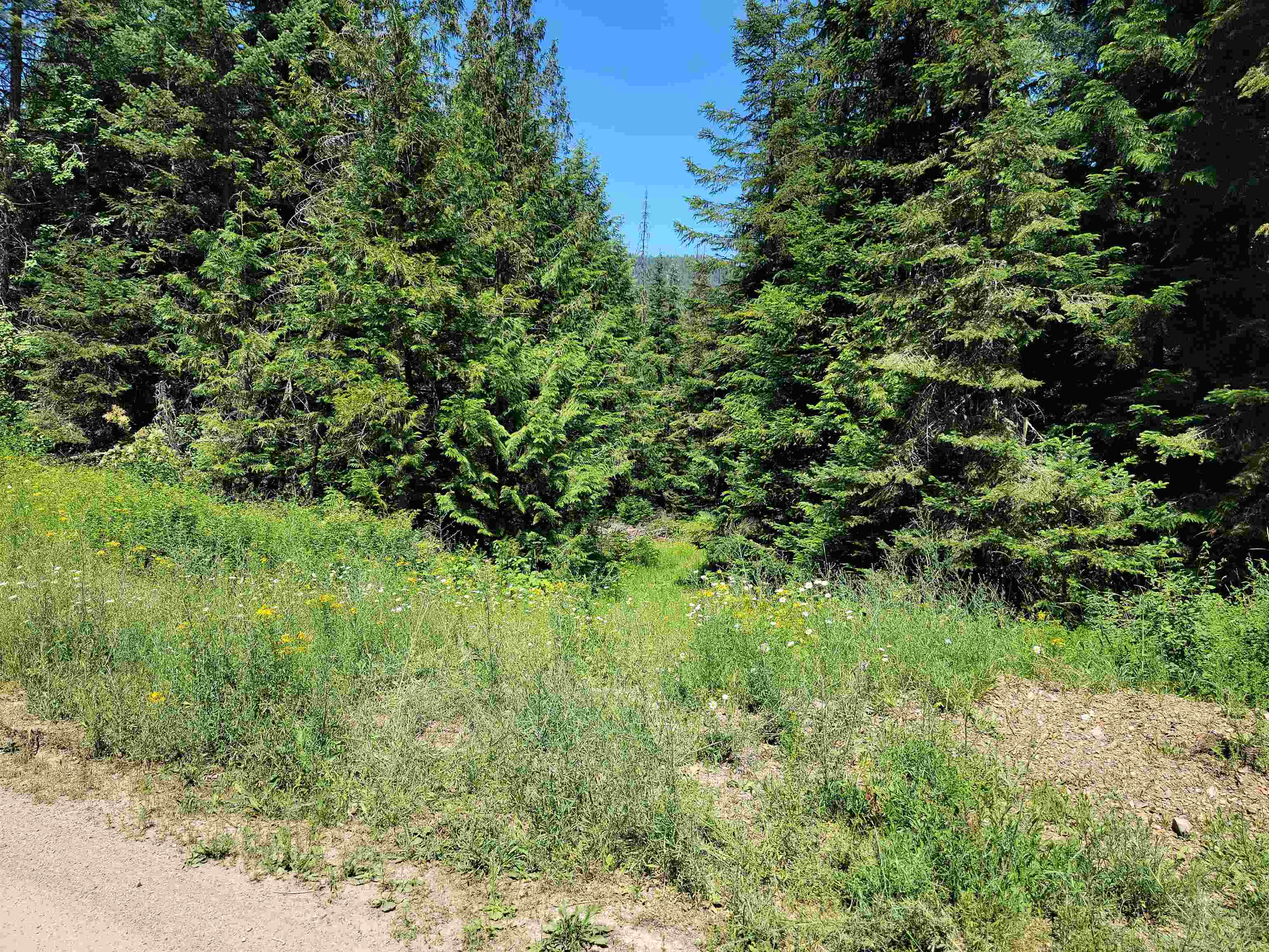 Nkn Bead Lake Road Newport, WA 99156 - Photo 23 of 44 Gallery Image 23
