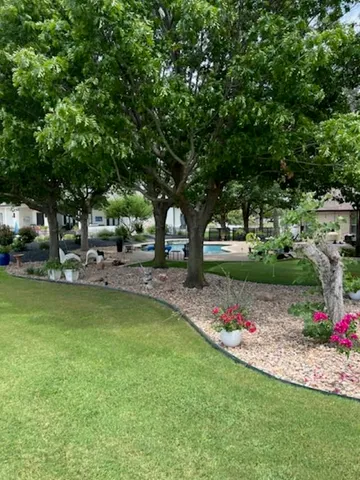 a garden with flowers and trees