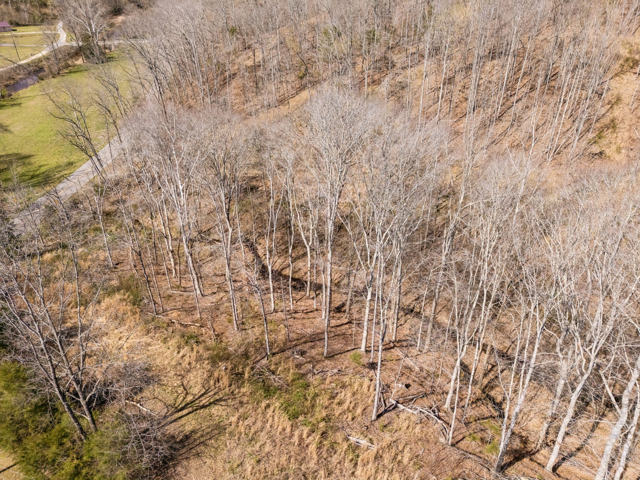 635 Cane Creek Road Hohenwald, TN 38462 - Photo 90 of 99 Gallery Image 90