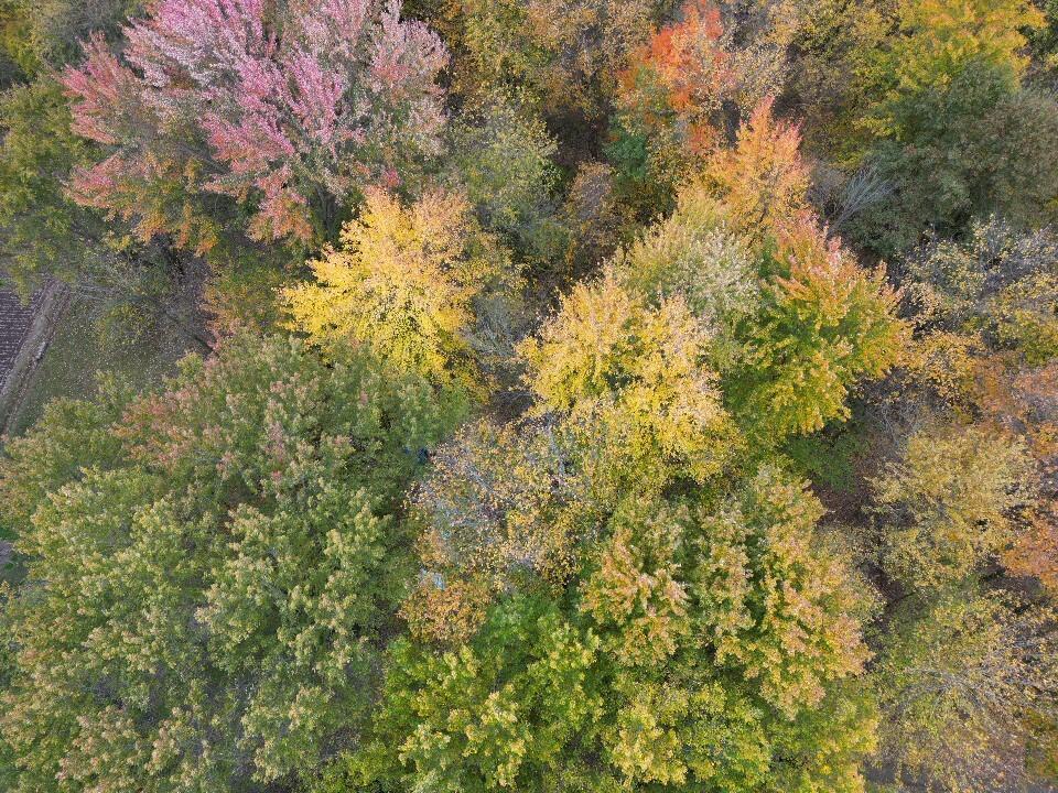 0 Irwin Road Delaware, OH 43015 - Photo 1 of 3 Irwin Rd