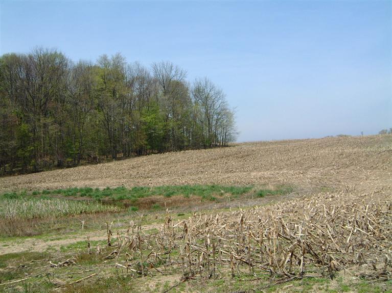 Bachman Road Hastings, MI 49058 - Photo 1 of 3 Primary Photo