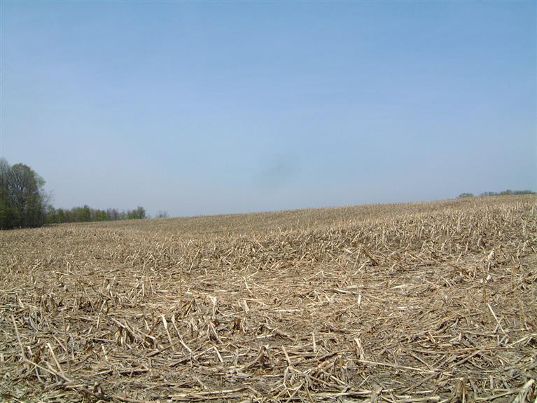 Bachman Road Hastings, MI 49058 - Photo 3 of 3 Additional Photo