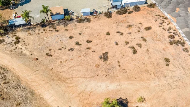 a plant with lots of trees