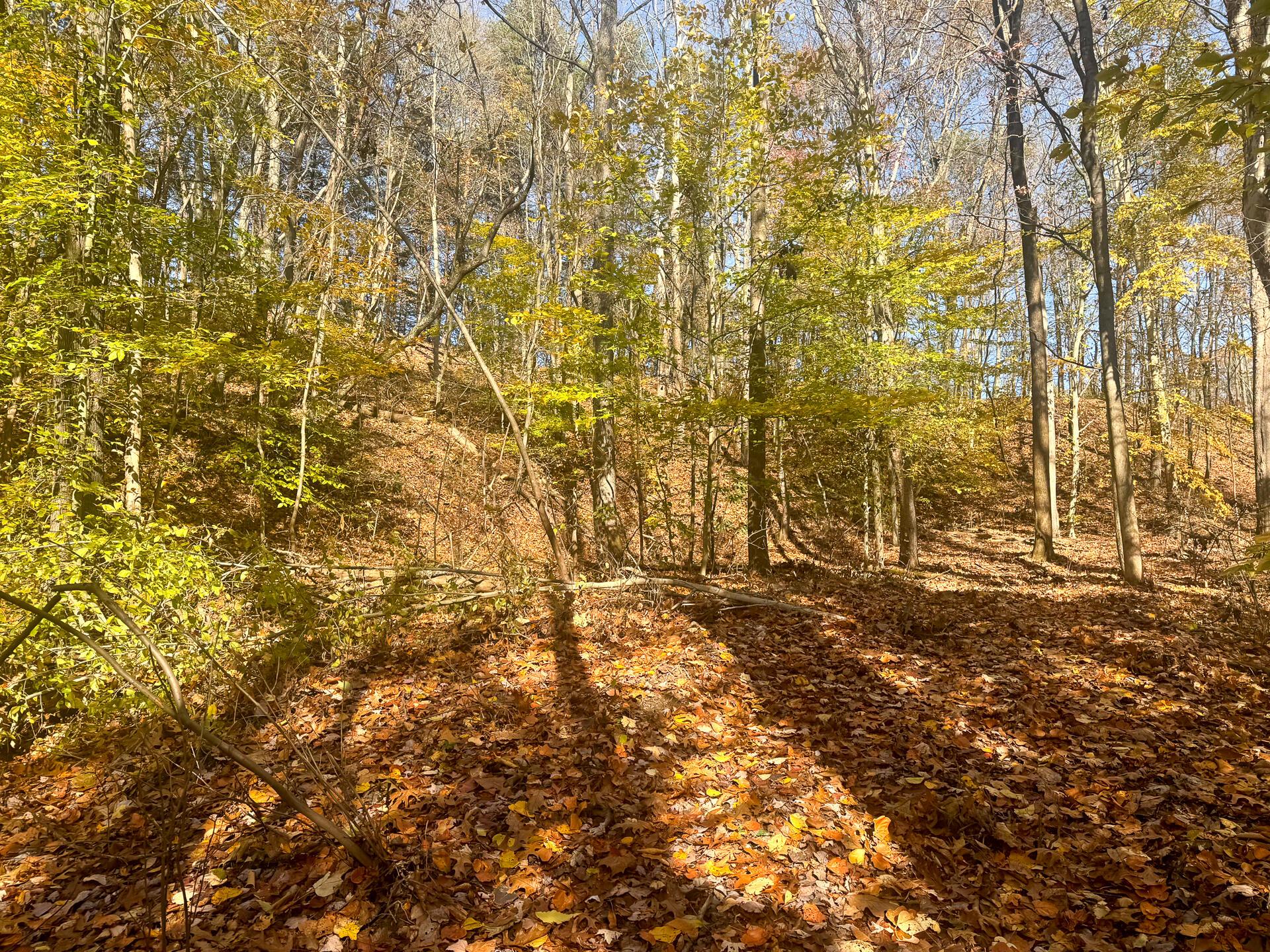 908 Nibert Road, Unit PONDS POPLAR RIDGE TRACT 2) Gallipolis, OH 45631 - Photo 12 of 25 CT-12