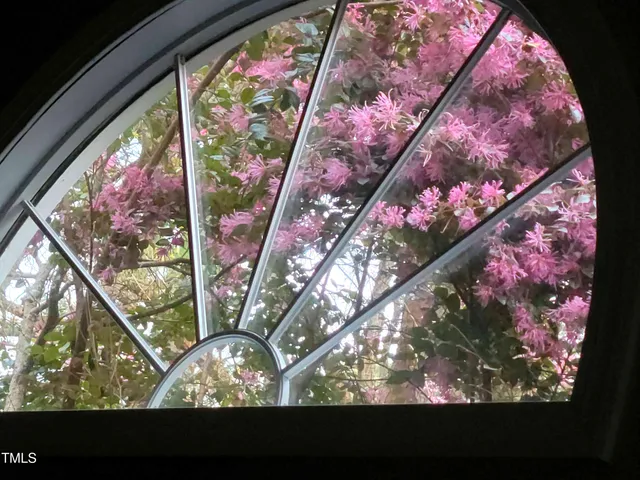 a picture of flowers