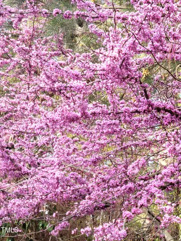 a sign on the side of a building