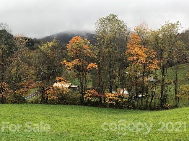 154 Dula Road Spruce Pine, NC 28777 - Photo 4 of 33 Gallery Image 4