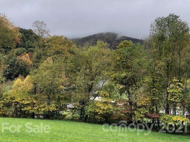 154 Dula Road Spruce Pine, NC 28777 - Photo 6 of 33 Gallery Image 6