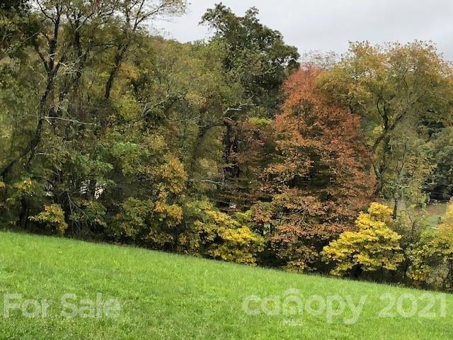 154 Dula Road Spruce Pine, NC 28777 - Photo 7 of 33 Gallery Image 7