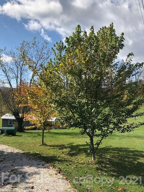 154 Dula Road Spruce Pine, NC 28777 - Photo 8 of 33 Gallery Image 8