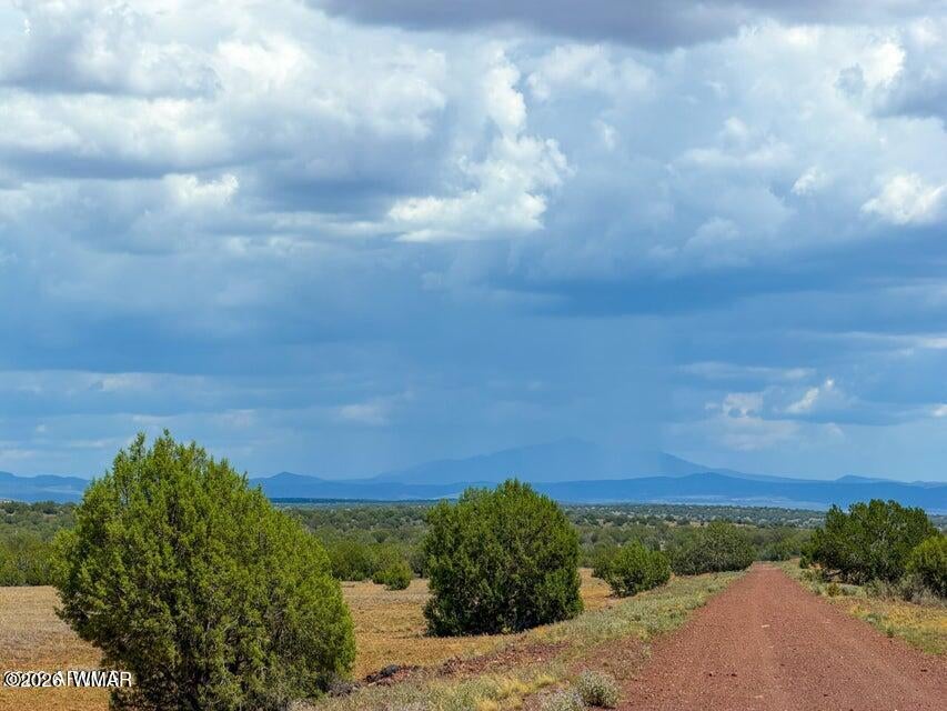 215 Gleed Station Road Ash Fork, AZ 86320 - Photo 10 of 16 Gallery Image 10