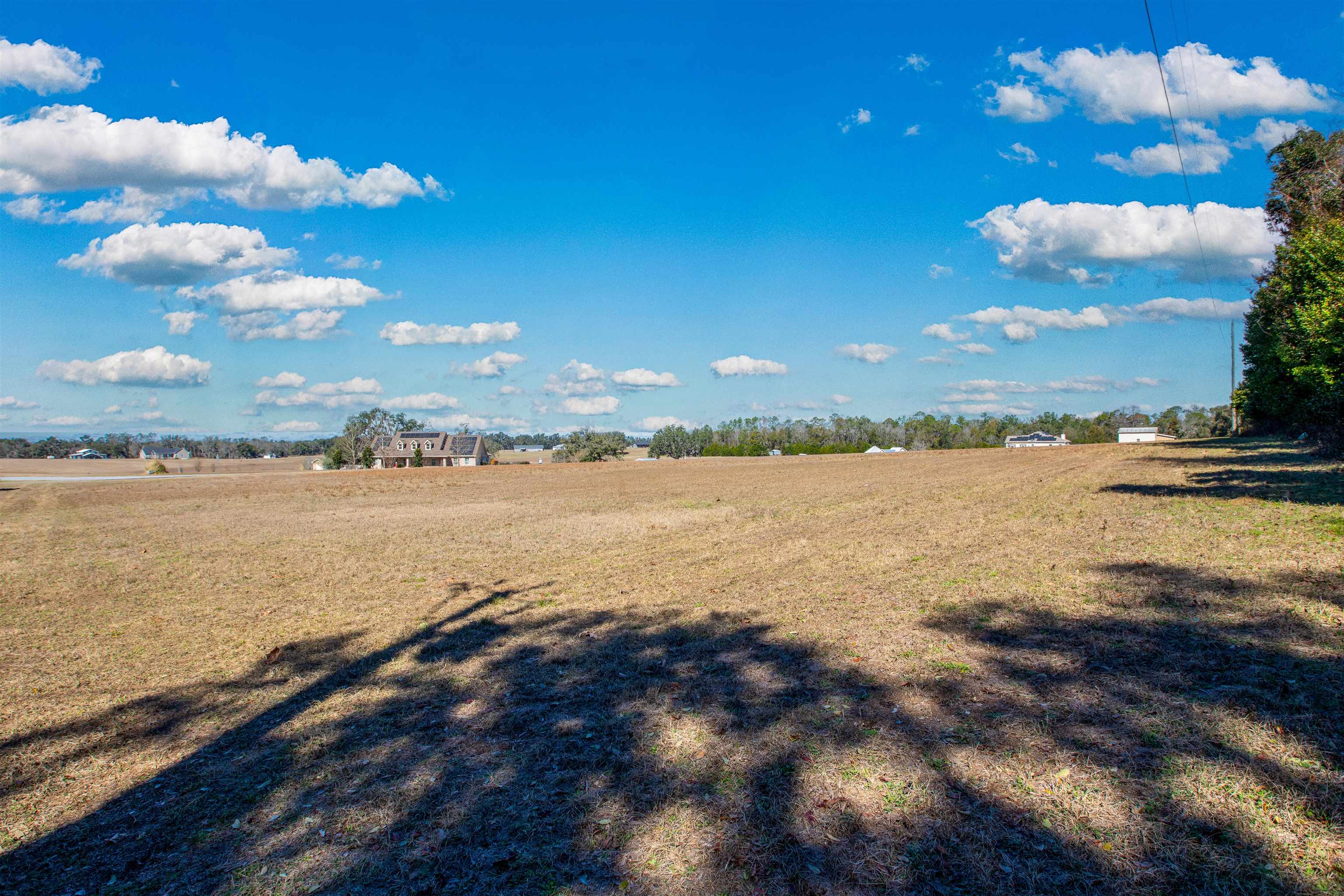 Northwest Appaloosa Way Madison, FL 32340 - Photo 8 of 8