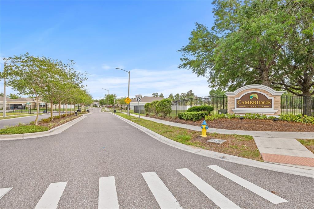 13675 Paddington Way Spring Hill, FL 34609 - Photo 35 of 36 a view of swimming pool with a yard and plants