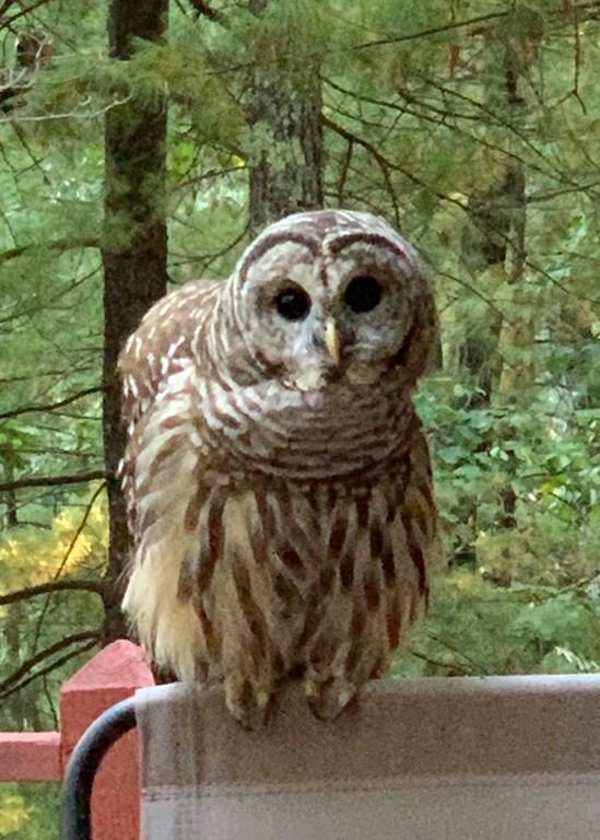 20 Heritage Drive Lexington, MA 02420 - Photo 11 of 27