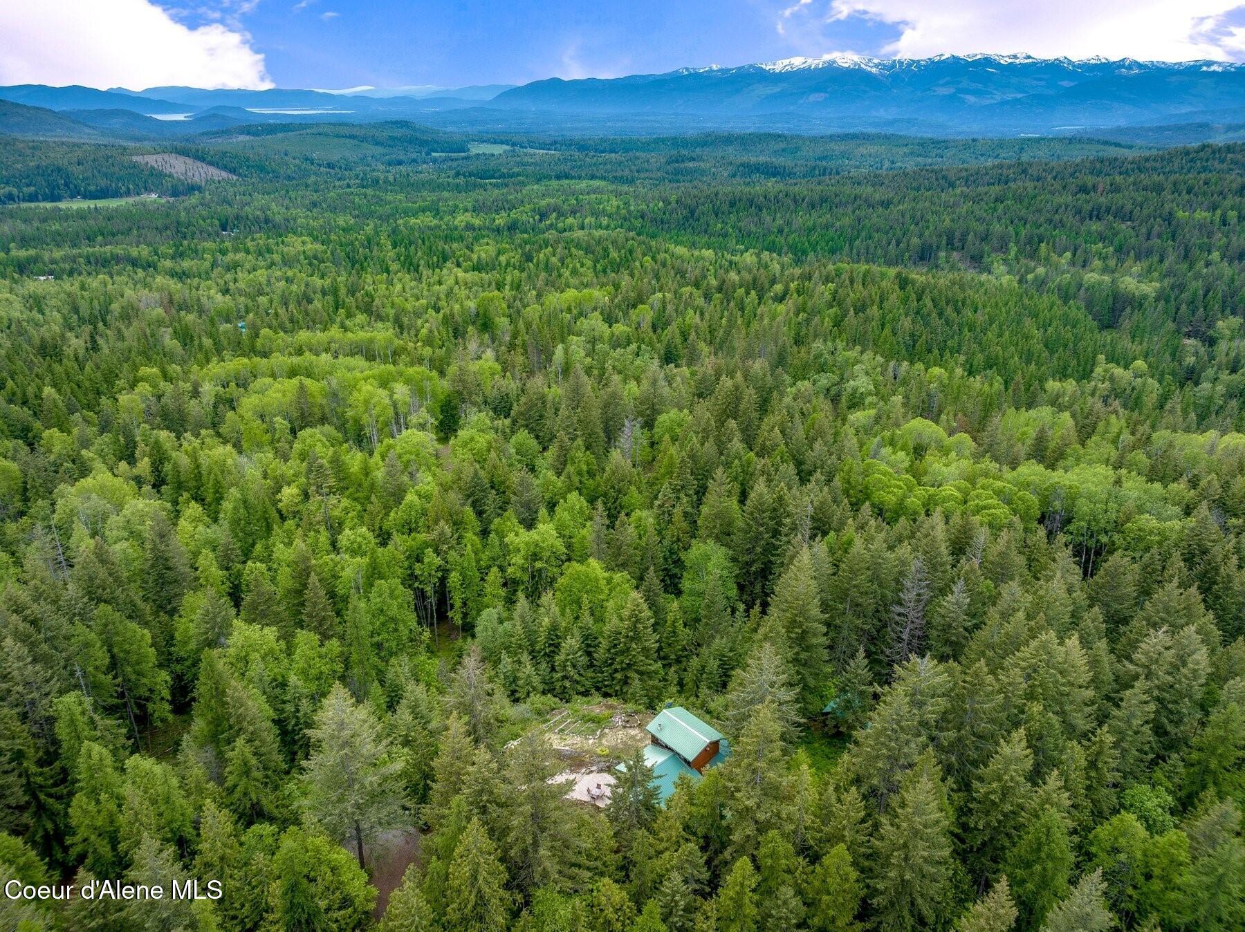 1298 Raven Ridge Road Sandpoint, ID 83864 - Photo 4 of 60 Compete Privacy