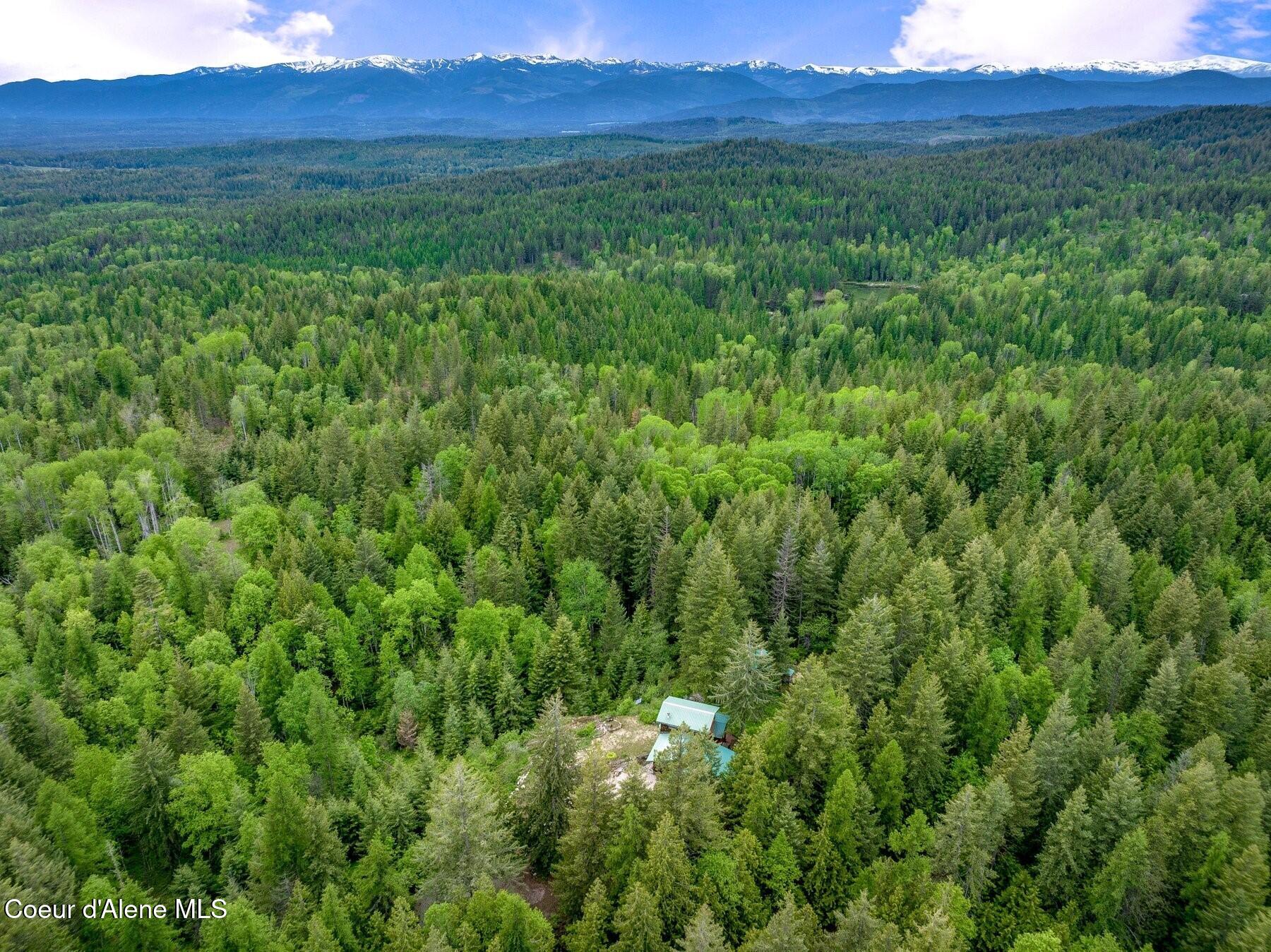 1298 Raven Ridge Road Sandpoint, ID 83864 - Photo 46 of 60 Complete Privacy