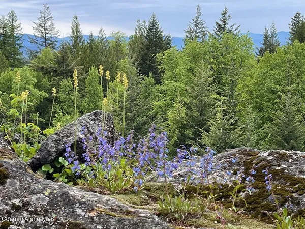 $549,000 | 1298 Raven Ridge Road, Sandpoint, ID 83864