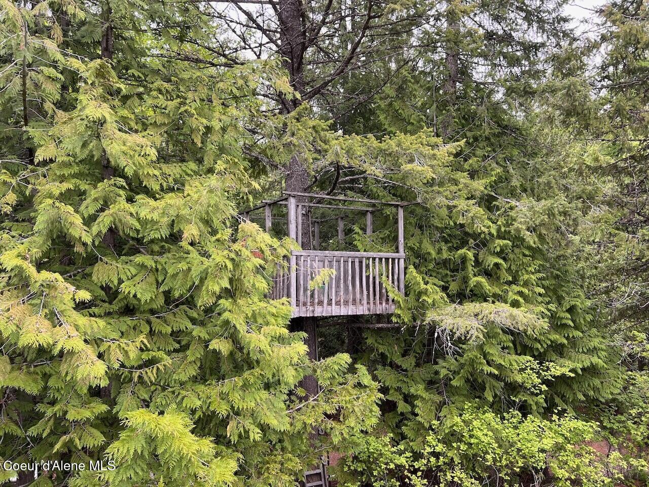 1298 Raven Ridge Road Sandpoint, ID 83864 - Photo 51 of 60 Old Tree House