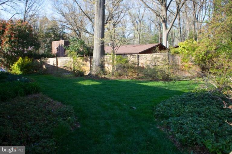 11520 Highview Avenue Silver Spring, MD 20902 - Photo 29 of 29 Back yard