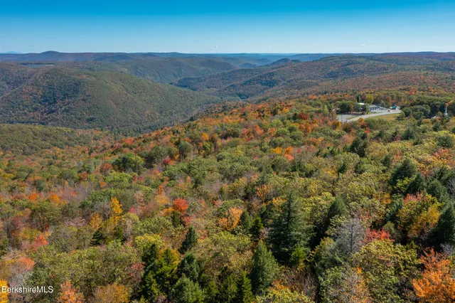 a view of a mountain with a forest