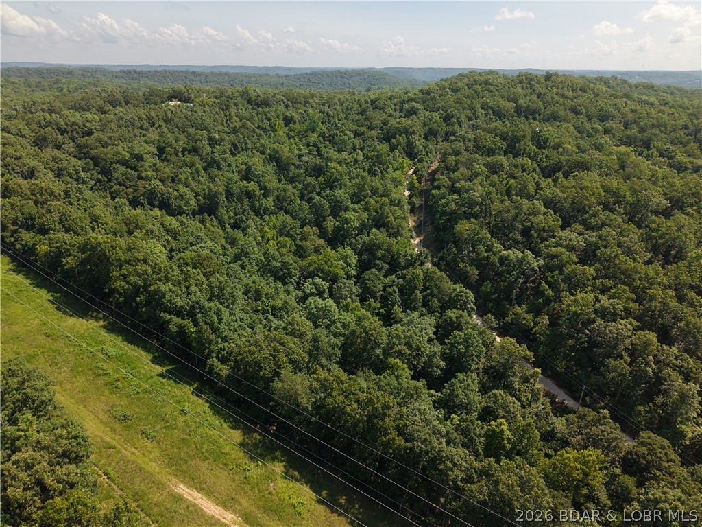 Lot 40 Venus Road Camdenton, MO 65020 - Photo 3 of 4